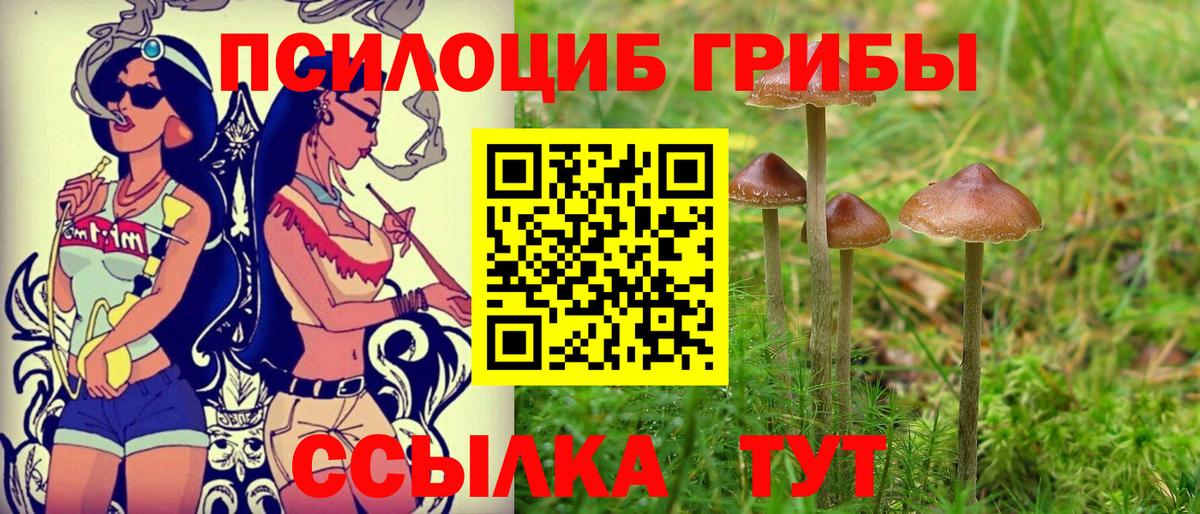 Калач-на-Дону  Cocaine  Вход с VPN  МЕФ   Гашиш  Каннабис 