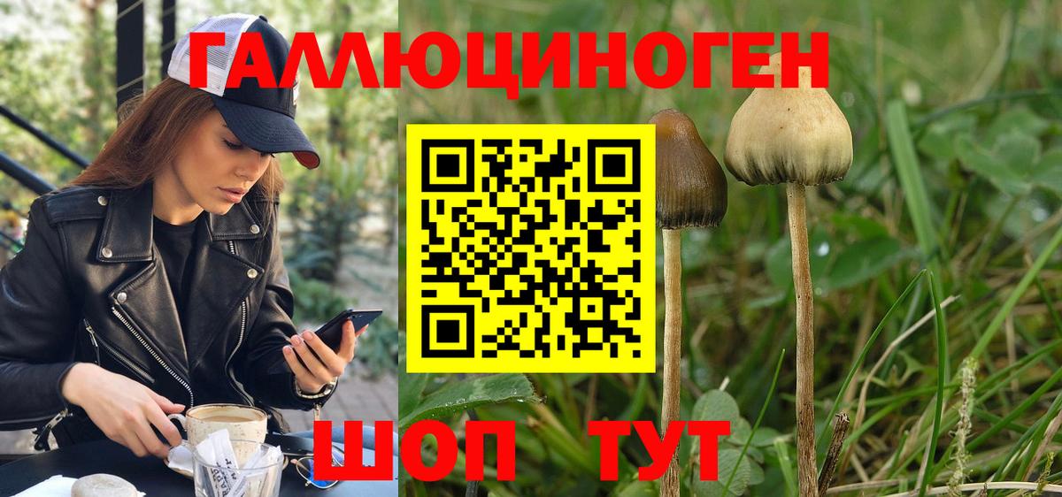 Псилоцибиновые грибы Psilocybine cubensis  Псилоцибиновые грибы Psilocybe  Вход с VPN  Калач-на-Дону 